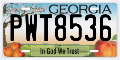 GA license plate PWT8536