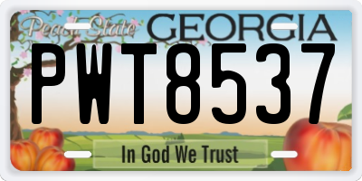 GA license plate PWT8537