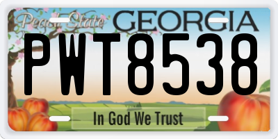 GA license plate PWT8538