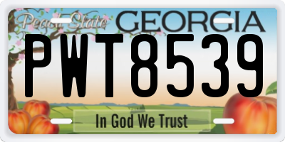 GA license plate PWT8539