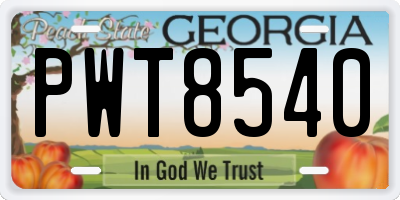 GA license plate PWT8540