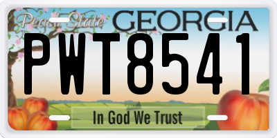 GA license plate PWT8541