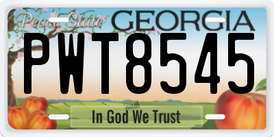 GA license plate PWT8545