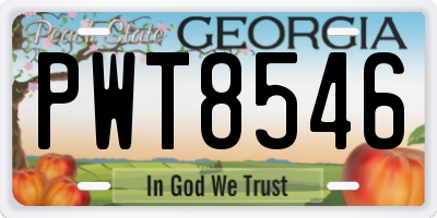 GA license plate PWT8546