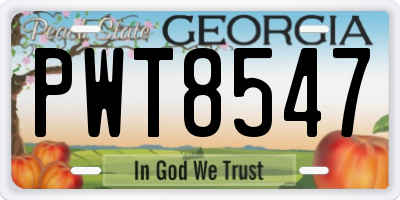GA license plate PWT8547