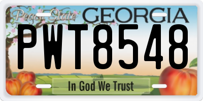 GA license plate PWT8548