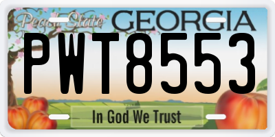 GA license plate PWT8553