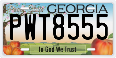 GA license plate PWT8555