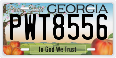 GA license plate PWT8556