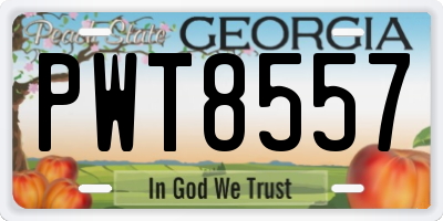 GA license plate PWT8557