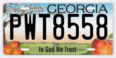 GA license plate PWT8558