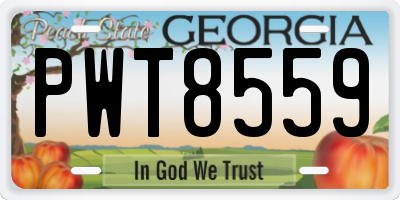 GA license plate PWT8559