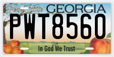 GA license plate PWT8560