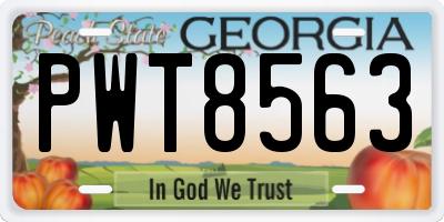 GA license plate PWT8563