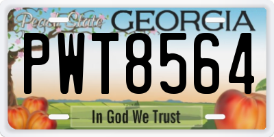 GA license plate PWT8564