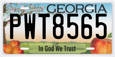 GA license plate PWT8565