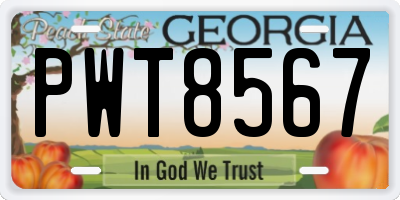 GA license plate PWT8567