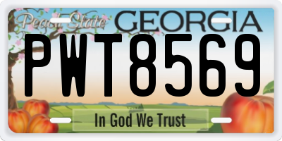 GA license plate PWT8569