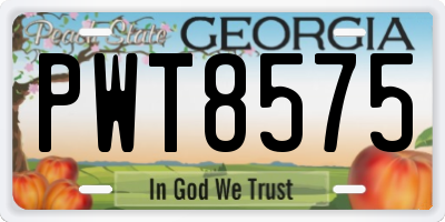 GA license plate PWT8575