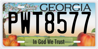 GA license plate PWT8577