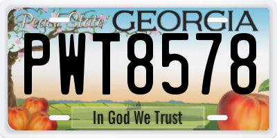 GA license plate PWT8578