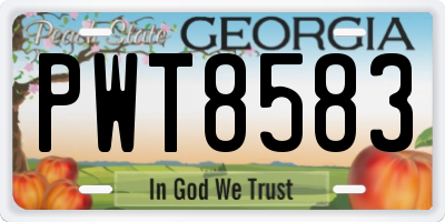 GA license plate PWT8583