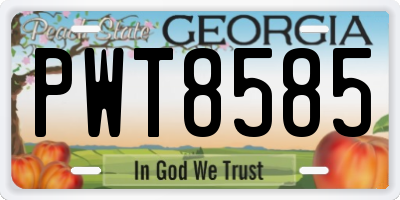 GA license plate PWT8585