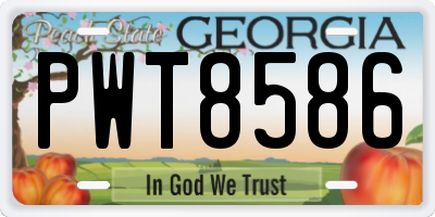 GA license plate PWT8586