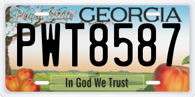 GA license plate PWT8587