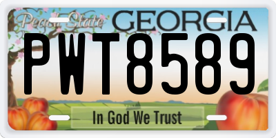 GA license plate PWT8589