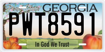 GA license plate PWT8591