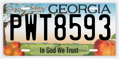 GA license plate PWT8593