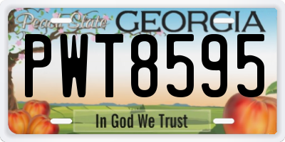 GA license plate PWT8595