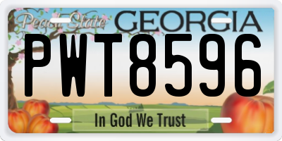 GA license plate PWT8596