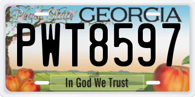 GA license plate PWT8597