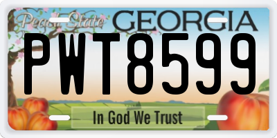 GA license plate PWT8599