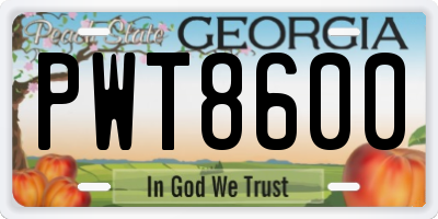 GA license plate PWT8600
