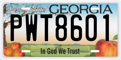 GA license plate PWT8601