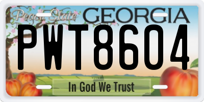 GA license plate PWT8604