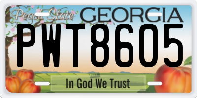 GA license plate PWT8605