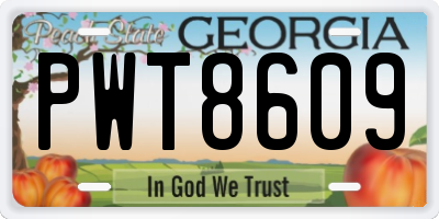 GA license plate PWT8609