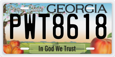 GA license plate PWT8618