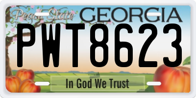 GA license plate PWT8623