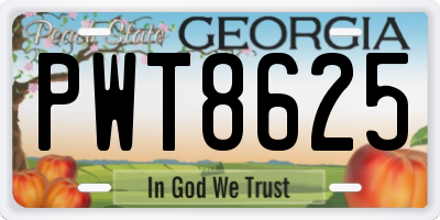GA license plate PWT8625