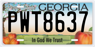 GA license plate PWT8637