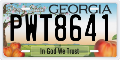 GA license plate PWT8641