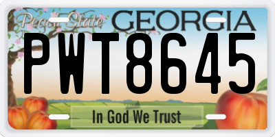 GA license plate PWT8645