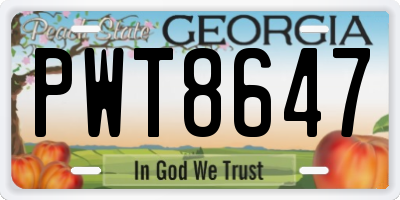 GA license plate PWT8647