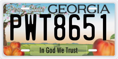 GA license plate PWT8651