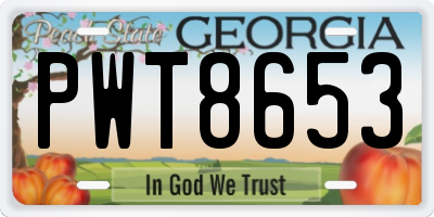 GA license plate PWT8653